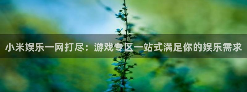 小米娱乐一网打尽：游戏专区一站式满足你的娱乐需求