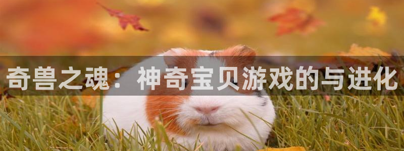 雷火竞技电竞平台网页版