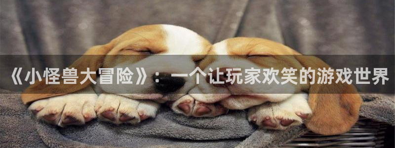 雷火竞技电竞官网入口网址