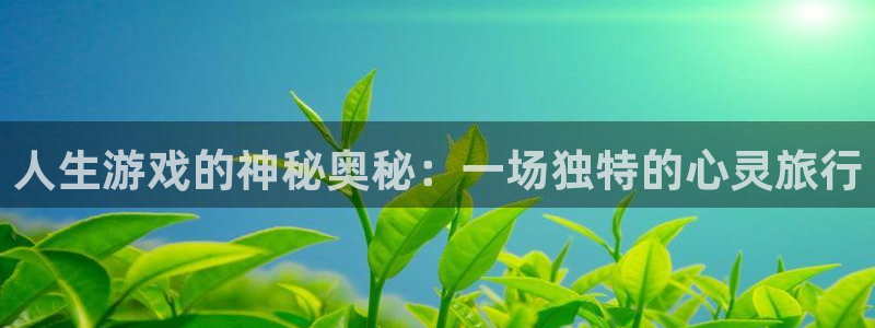 雷火竞技官网入口正式版：人生游戏的神秘奥秘：一场独特的心灵旅