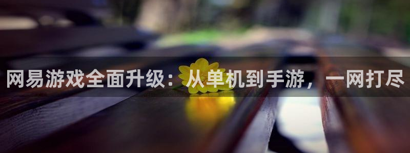 雷火竞技竞猜平台：网易游戏全面升级：从单机到手游，一网打尽