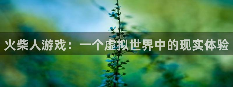 雷火竞技电竞官网入口：火柴人游戏：一个虚拟世界中的现实体验