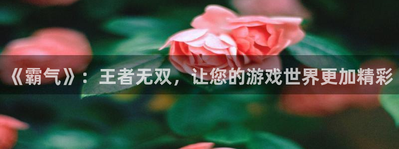 雷火竞技官方网站入口网址大全：《霸气》：王者无双，让您的游戏